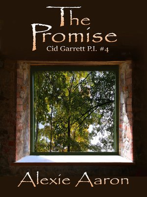 cover image of The Promise